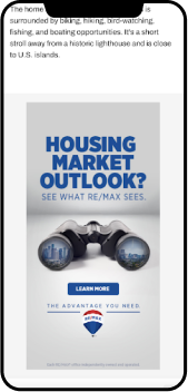 Remax Standard Banner size